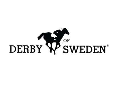 Derby Of Sweden Thumbnail
