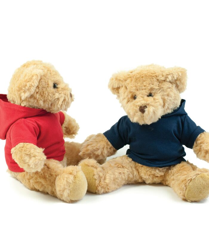 Teddy hoodie Thumbnail